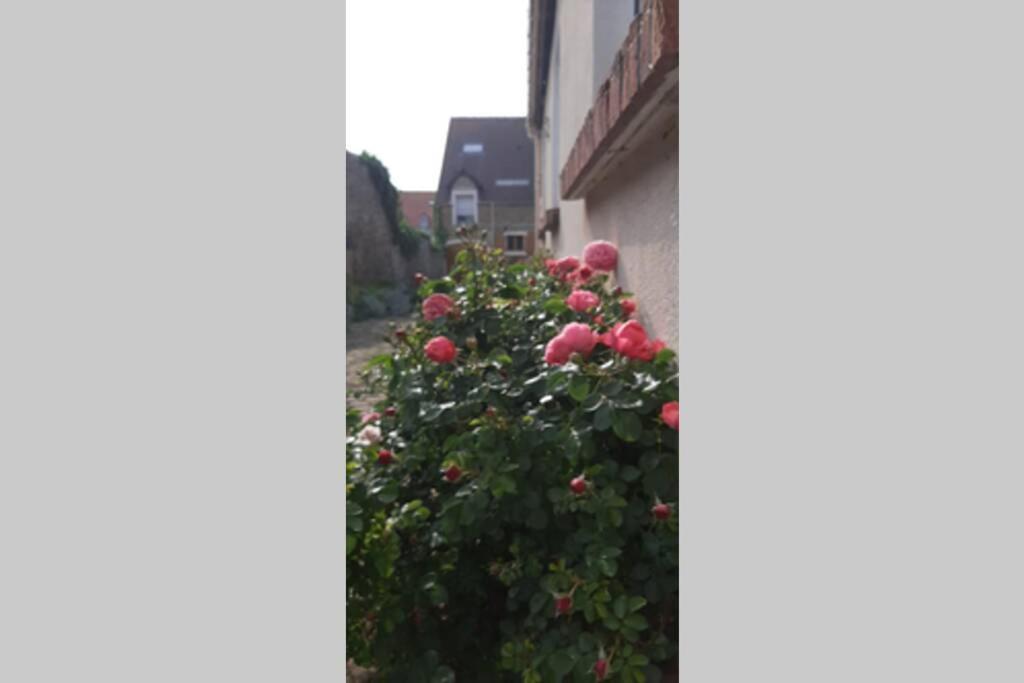 La Cour Pavee Villa Boulogne-sur-Mer Kültér fotó